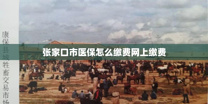 张家口市医保怎么缴费网上缴费
