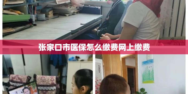 张家口市医保怎么缴费网上缴费