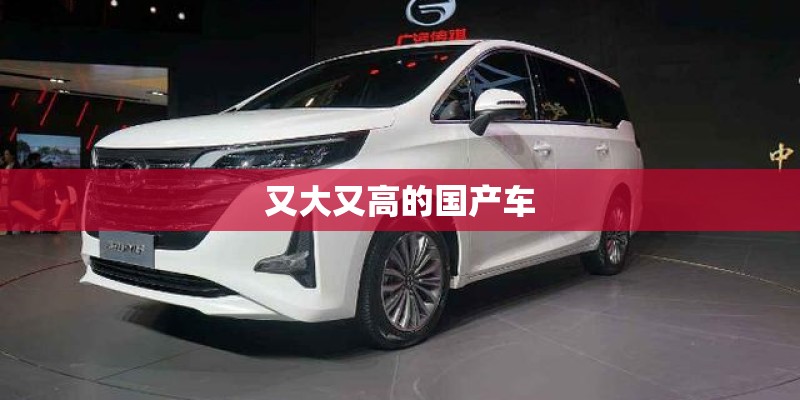又大又高的国产车