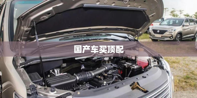 国产车买顶配