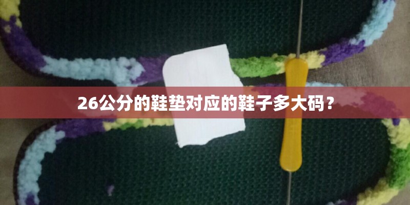 乒乓球用裸板能不能参加比赛