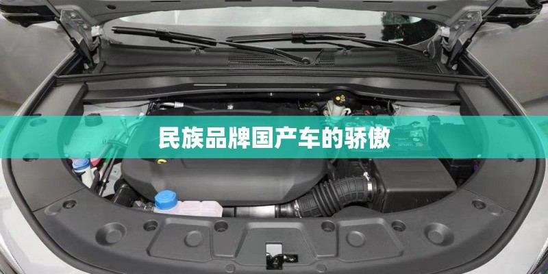 民族品牌国产车的骄傲