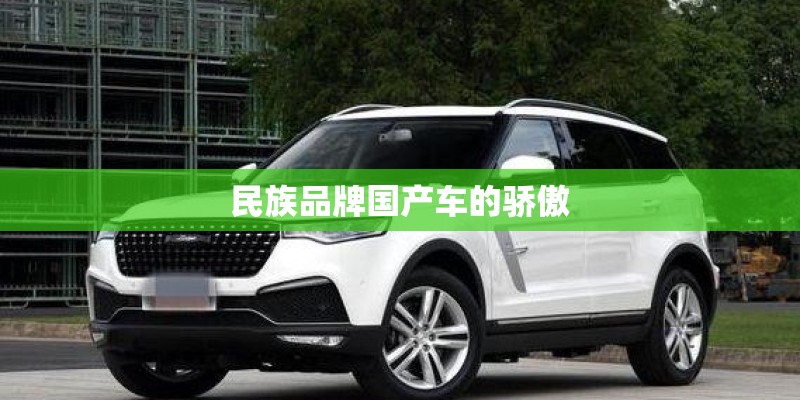 民族品牌国产车的骄傲