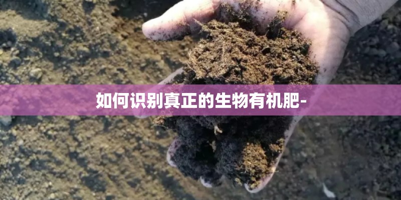 带凡男孩帅气有涵养的名字
