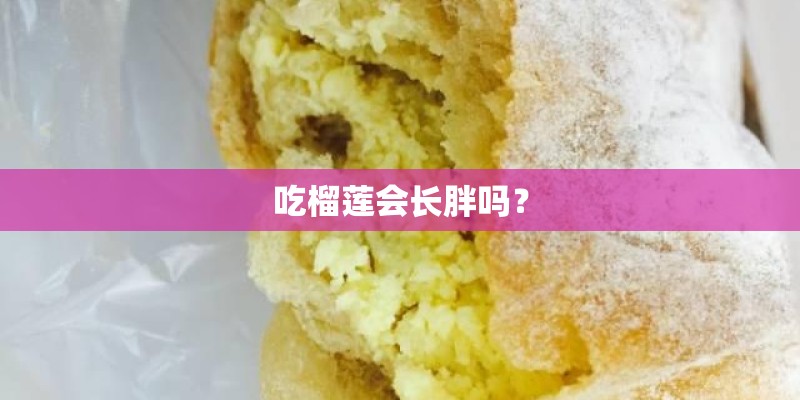对标轩逸思域? 对标轩逸思域?