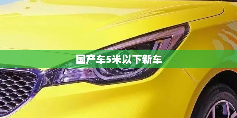 国产车5米以下新车