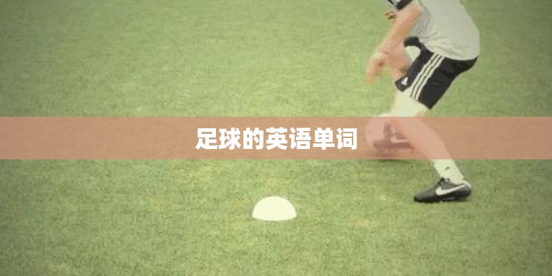 2023年5月最佳黄道吉日有哪几天