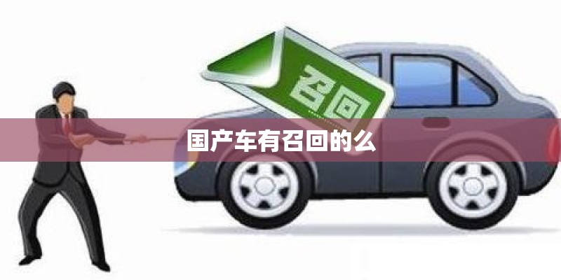 国产车有召回的么