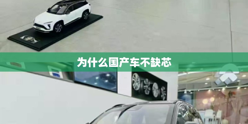 为什么国产车不缺芯