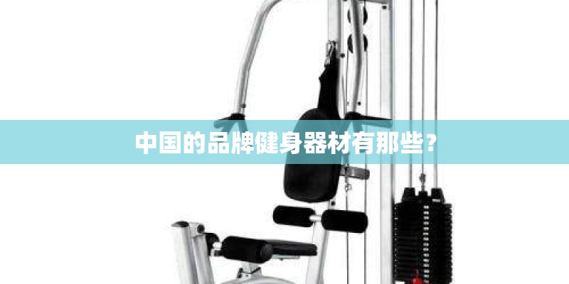 中国的品牌健身器材有那些？