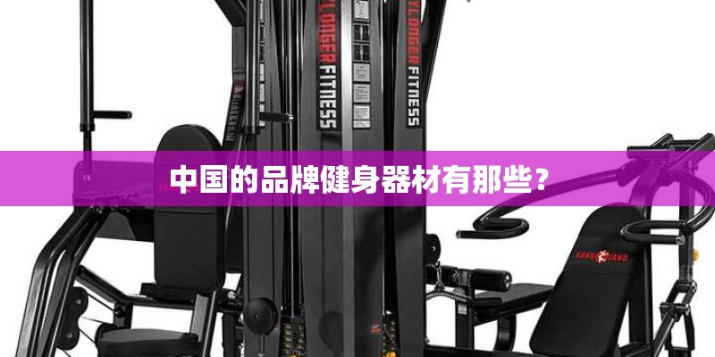 中国的品牌健身器材有那些？