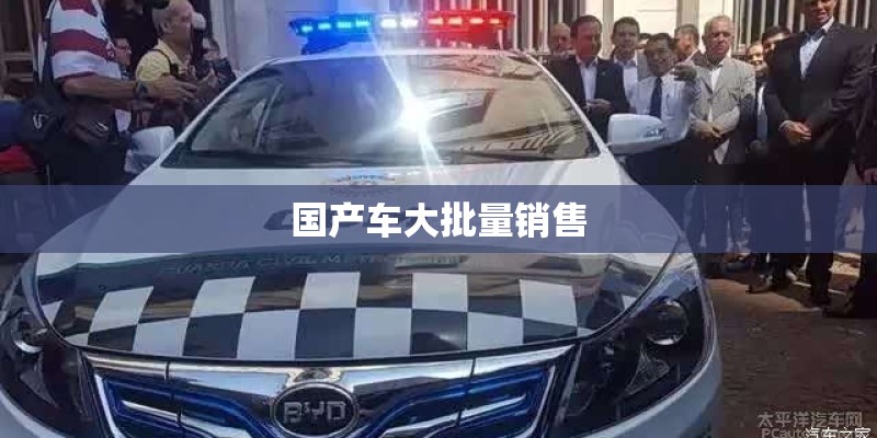 手机卡 快手 抖音和平精 王者荣耀可以免流量