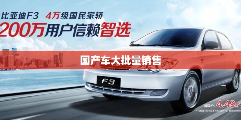 国产车大批量销售