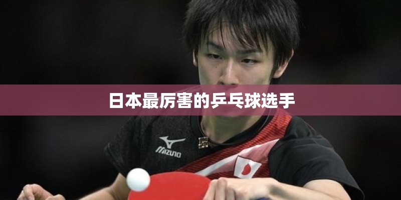 日本最厉害的乒乓球选手