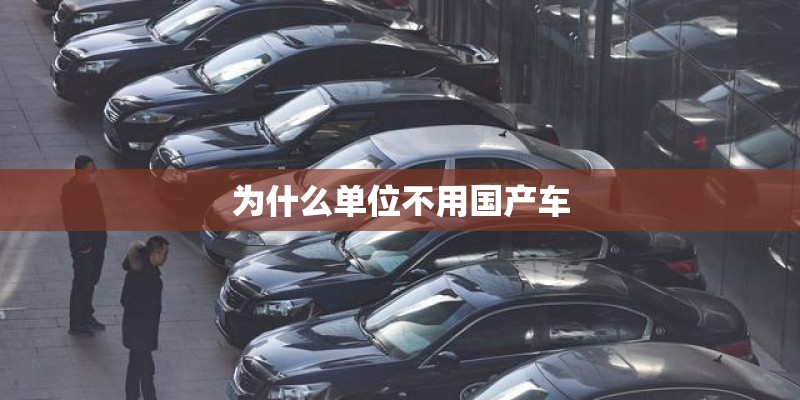 为什么单位不用国产车