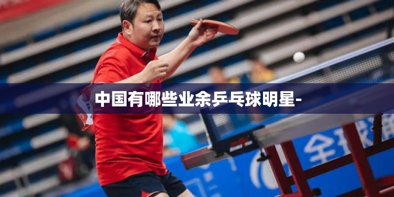 中国有哪些业余乒乓球明星-