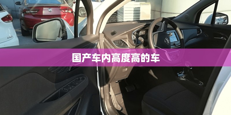 国产车内高度高的车
