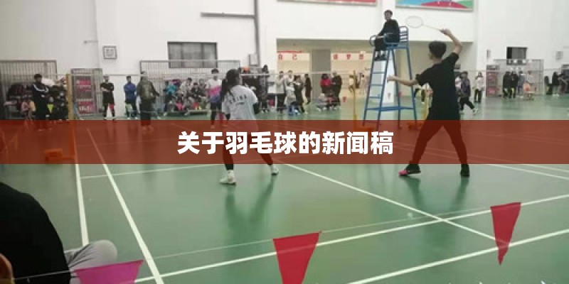 关于羽毛球的新闻稿