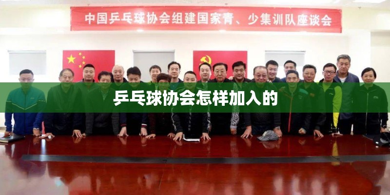 历届奥运会中国乒乓球获奖情况