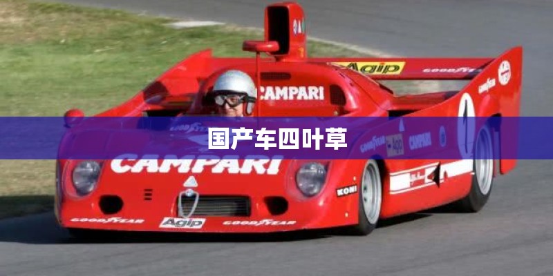 国产车四叶草