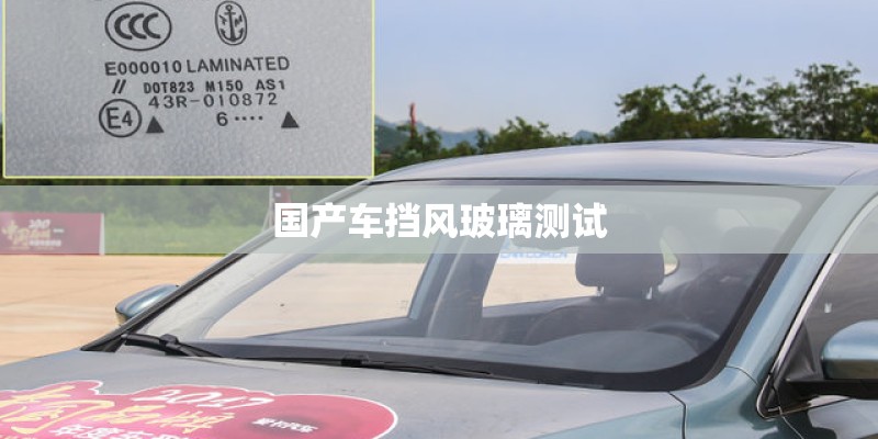 国产车挡风玻璃测试
