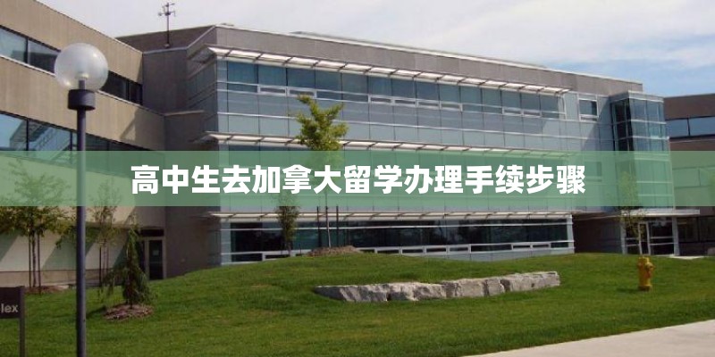 国产车内高度高的车