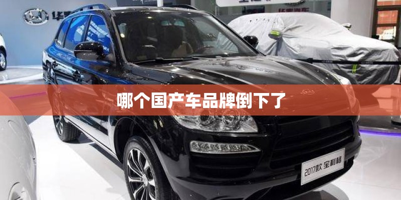 哪个国产车品牌倒下了