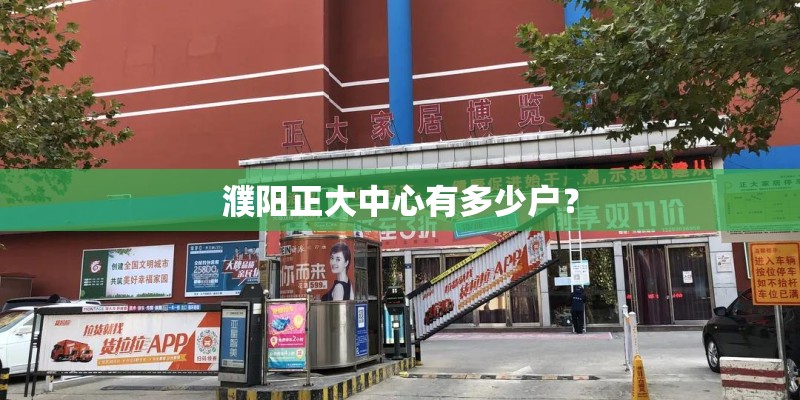 濮阳正大中心有多少户？