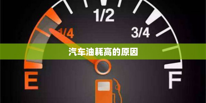 初学乒乓球用直拍好还是横拍好啊-哪个更适合进攻？