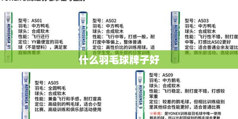 为什么我的笔记本电脑总是蓝屏？