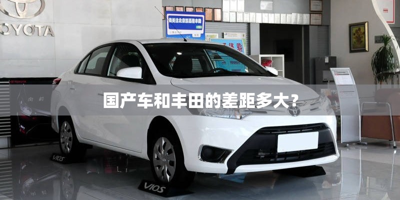 对比迈腾的国产车