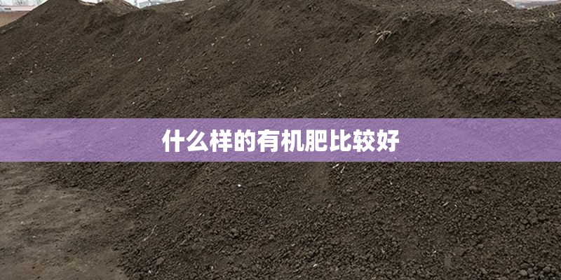 月盛花园表示什么