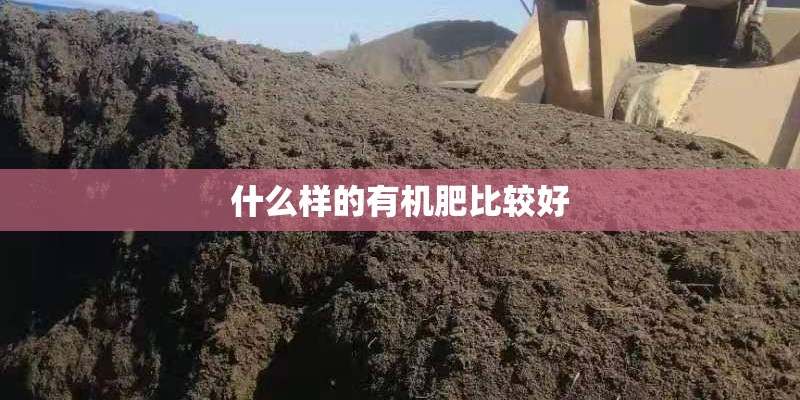 什么样的有机肥比较好