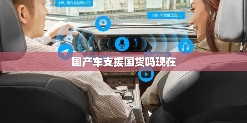 国产车支援国货吗现在