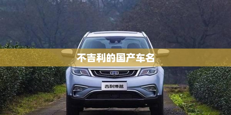 不吉利的国产车名
