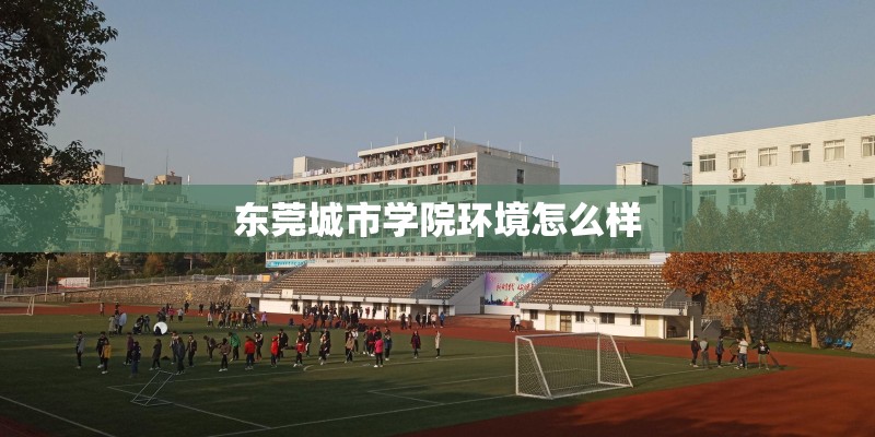 东莞城市学院环境怎么样