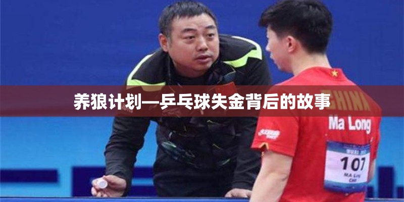 滨州职业学院大学生活