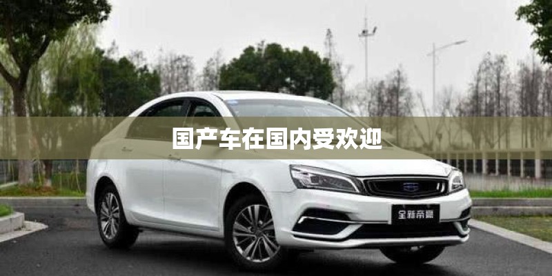 国产车在国内受欢迎