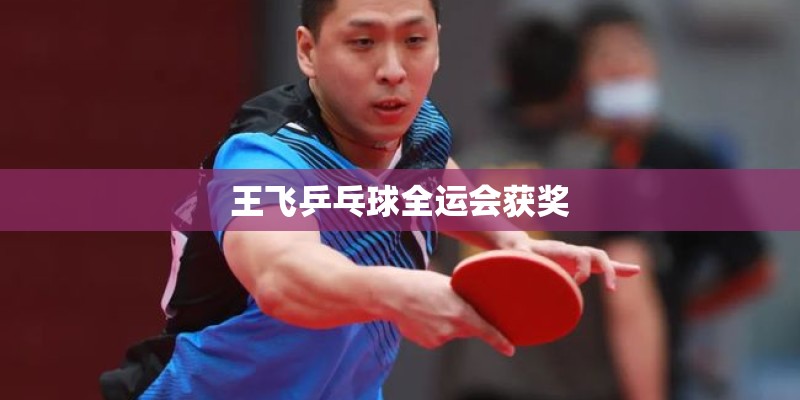 王飞乒乓球全运会获奖