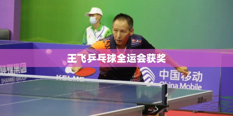 王飞乒乓球全运会获奖