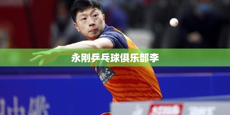 永刚乒乓球俱乐部李 永刚乒乓球俱乐部李