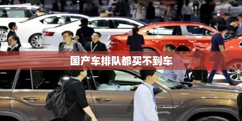国产车屏幕可升降的车