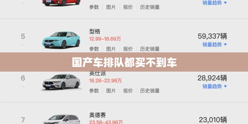 国产车排队都买不到车