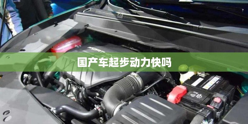 国产车起步动力快吗 国产车起步动力快吗
