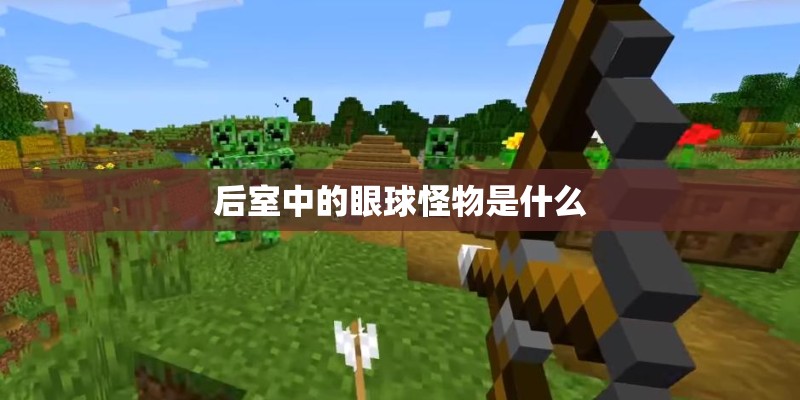 后室中的眼球怪物是什么