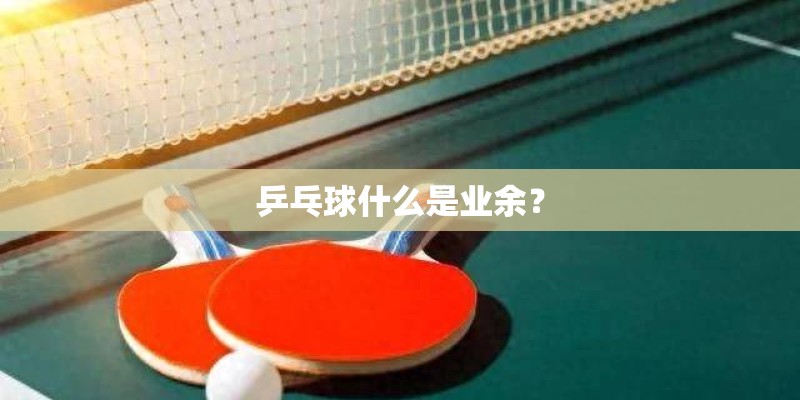 乒乓球什么是业余? 乒乓球什么是业余?