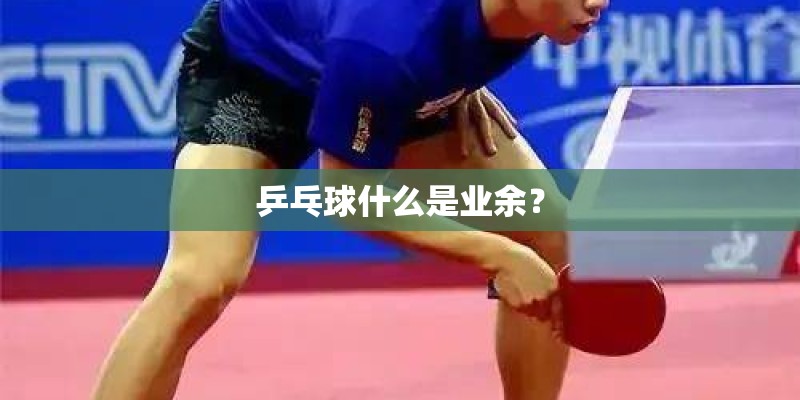 乒乓球什么是业余? 乒乓球什么是业余?