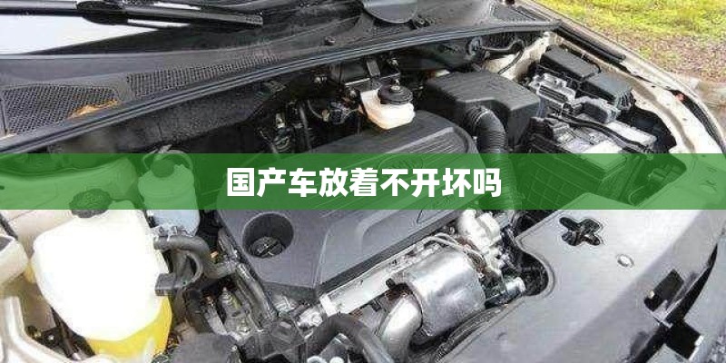 国产车放着不开坏吗 国产车放着不开坏吗