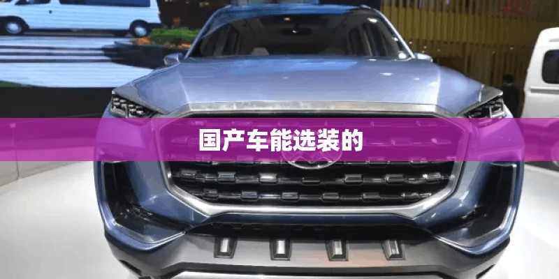 国产车能选装的