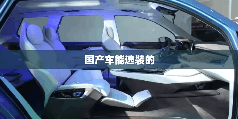 国产车能选装的